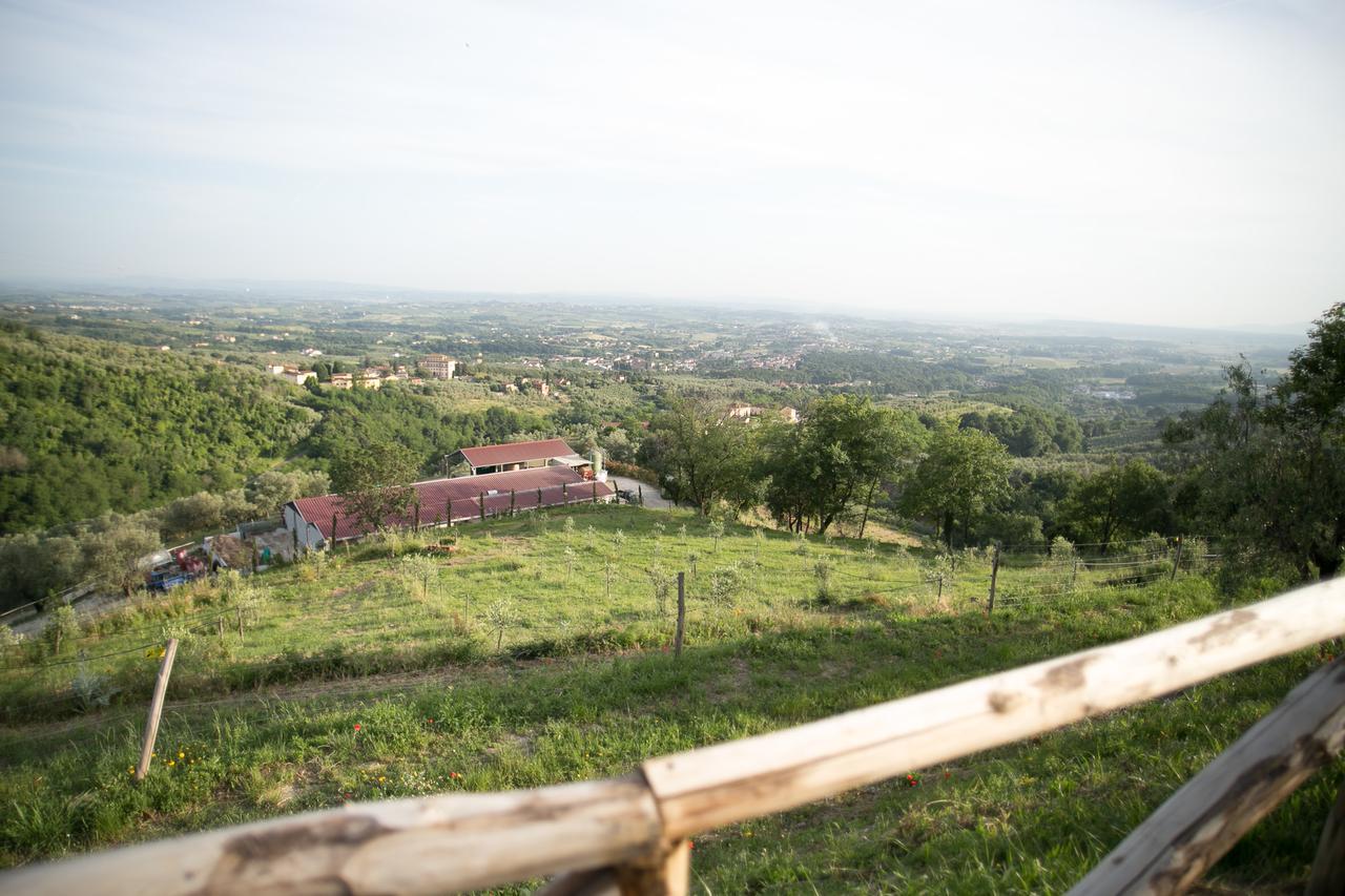 La Dispensa-Bio Agriturismo Lamporecchio Exterior foto